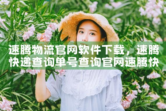 速腾物流官网软件下载