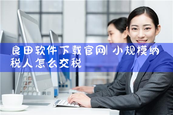 良田软件下载官网