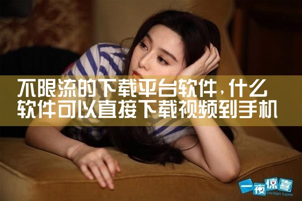 不限流的下载平台软件