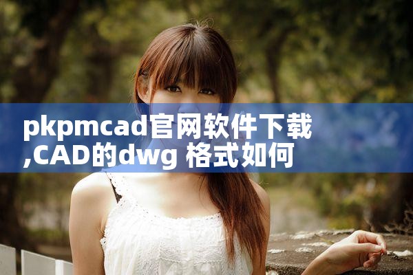 pkpmcad官网软件下载