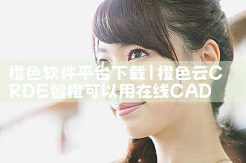 橙色软件平台下载