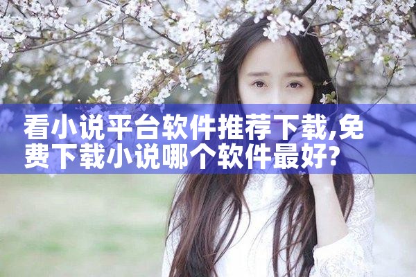 看小说平台软件推荐下载