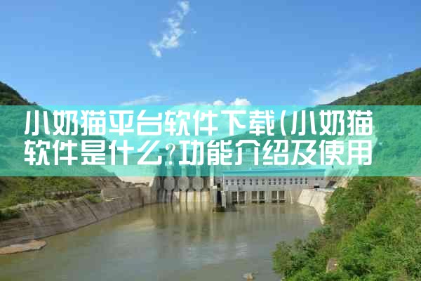 小奶猫平台软件下载
