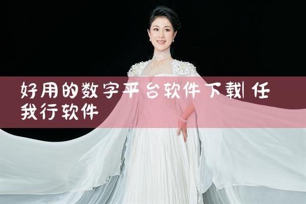 好用的数字平台软件下载