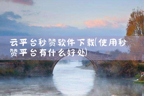 云平台秒赞软件下载