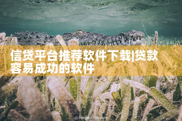 信贷平台推荐软件下载